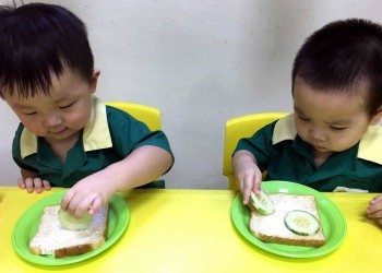 Cambridge@Fernvale-animal-sandwich-02