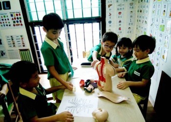 Cambridge@Sengkang-human-body-03