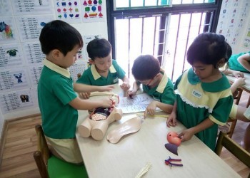 Cambridge@Sengkang-human-body-04