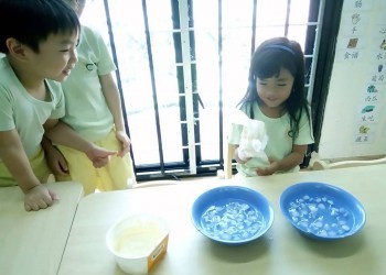 Cambridge@Sengkang-blubber-experiment-06