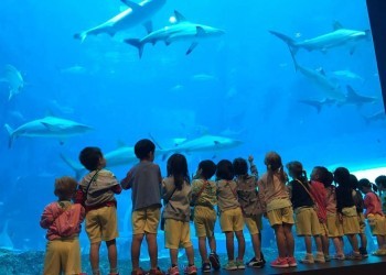 Cambridge@Robertson-excursion-12
