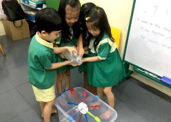 cambridge-bukit-timah-curriculum-12