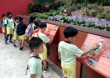 cambridge-bukit-timah-field-trip-04