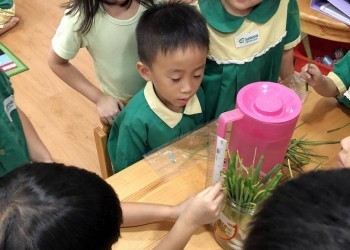 cambridge-robertson-plant-experiment-05