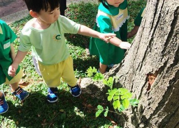cambridge-sengkang-earth-day-10