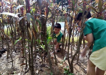 cambridge-sengkang-earth-day-32