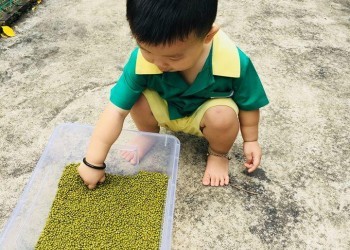 cambridge-sengkang-sensory-walk-02