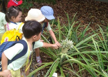 cambridge-serangoon-gardens-jacob-ballas-02