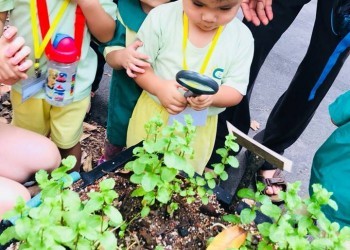 cambridge-serangoon-gardens-jacob-ballas-09