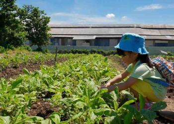serangoon-gardens-farm-02