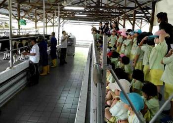 serangoon-gardens-farm-05