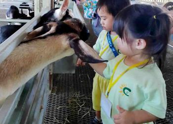 serangoon-gardens-farm-06