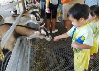 serangoon-gardens-farm-07
