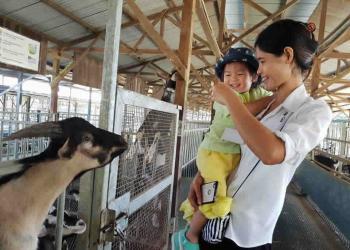 serangoon-gardens-farm-08