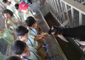 serangoon-gardens-farm-11