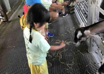 serangoon-gardens-farm-12