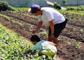 serangoon-gardens-farm-26