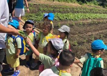 serangoon-gardens-farm-29