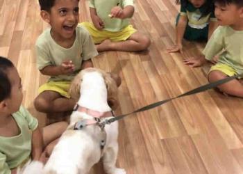 serangoon-gardens-loving-pets-02