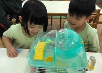 serangoon-gardens-loving-pets-03