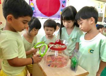 serangoon-gardens-loving-pets-04