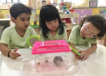 serangoon-gardens-loving-pets-05