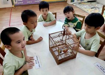 serangoon-gardens-loving-pets-09