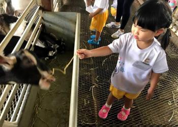 kingsford-waterbay-dairies-farm-2019-01