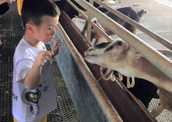 kingsford-waterbay-dairies-farm-2019-02