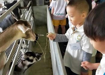 kingsford-waterbay-dairies-farm-2019-03