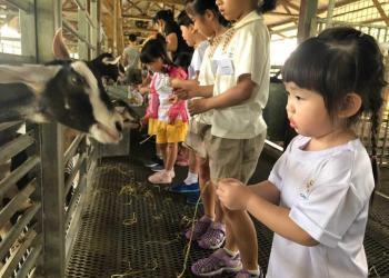 kingsford-waterbay-dairies-farm-2019-08