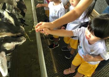 kingsford-waterbay-dairies-farm-2019-09