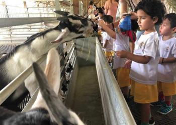 kingsford-waterbay-dairies-farm-2019-10
