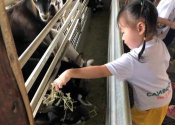 kingsford-waterbay-dairies-farm-2019-11