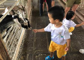 kingsford-waterbay-dairies-farm-2019-12