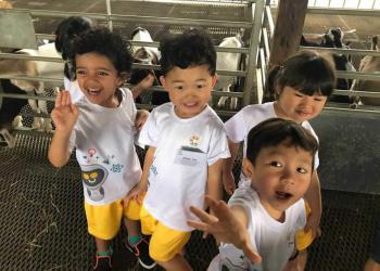 kingsford-waterbay-dairies-farm-2019-13