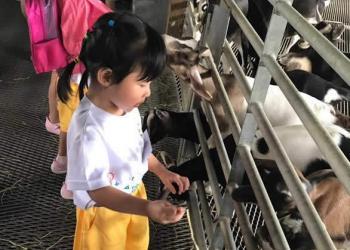 kingsford-waterbay-dairies-farm-2019-14