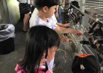 kingsford-waterbay-dairies-farm-2019-15