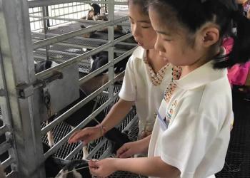 kingsford-waterbay-dairies-farm-2019-16