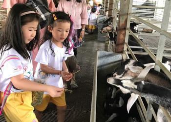 kingsford-waterbay-dairies-farm-2019-17