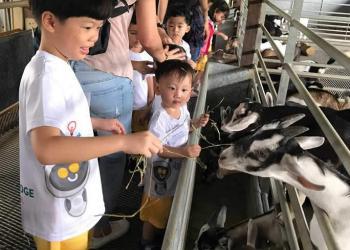 kingsford-waterbay-dairies-farm-2019-18