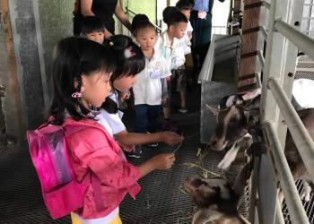 kingsford-waterbay-dairies-farm-2019-20