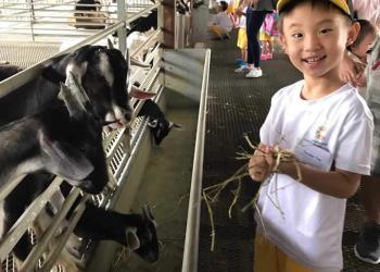 kingsford-waterbay-dairies-farm-2019-21