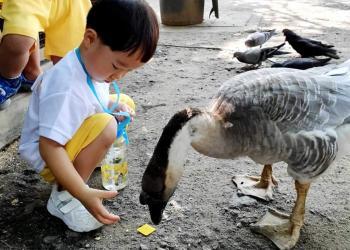 robertson-animal-resort-2019-02