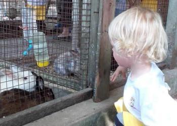 robertson-animal-resort-2019-09