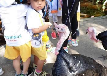 robertson-animal-resort-2019-12