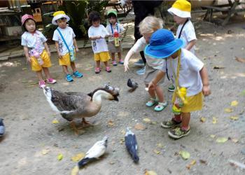 robertson-animal-resort-2019-13