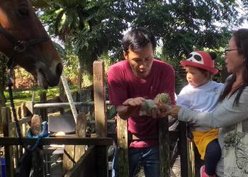 robertson-animal-resort-2019-15