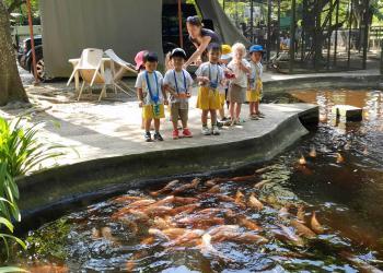 robertson-animal-resort-2019-18