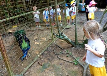 robertson-animal-resort-2019-20